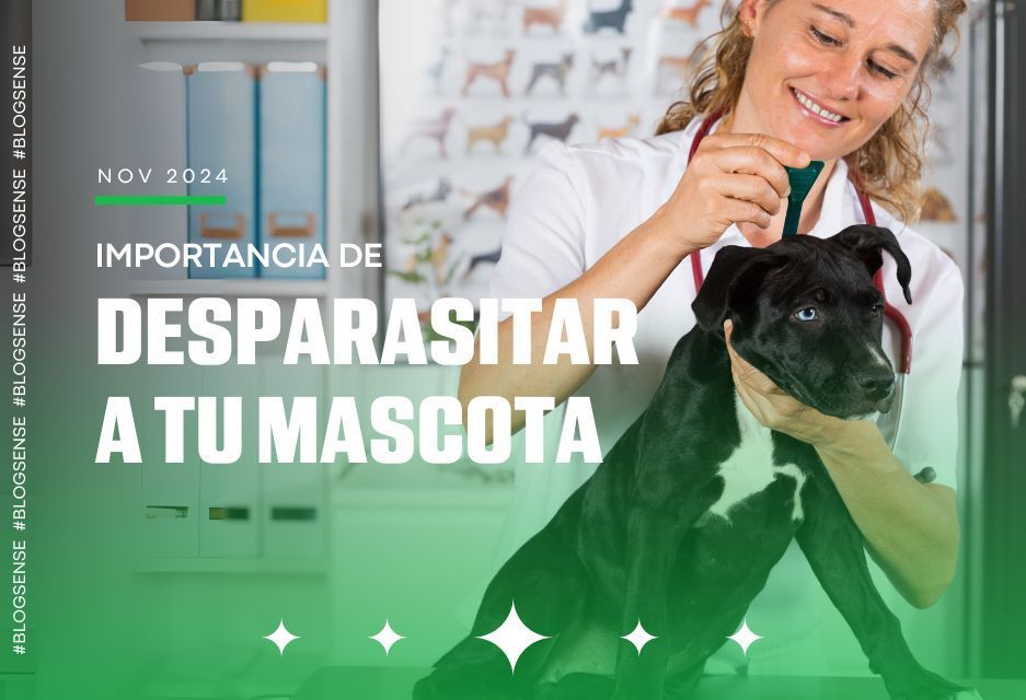 Importancia de desparasitar a tu mascota